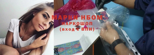 индика Магас