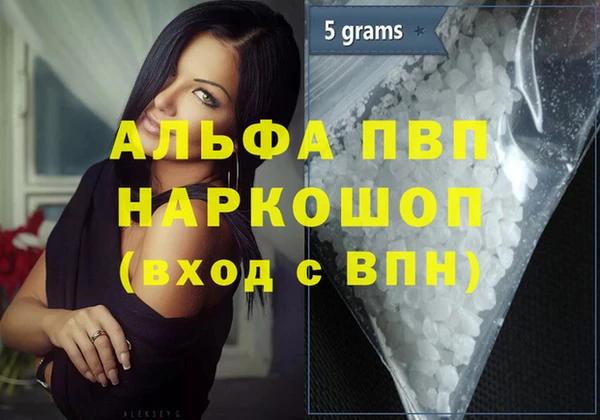 индика Магас