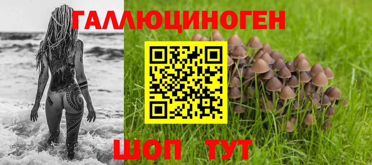 Галлюциногенные грибы Psilocybine cubensis  Псилоцибиновые грибы мицелий  как найти наркотики  Вход с VPN  Новосибирск 