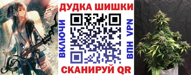 где найти   Новосибирск  Конопля планчик 